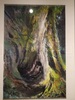 photos-1.jpg
